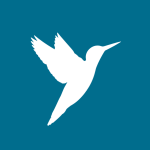 Queenfisher bird taking flight on kingfisher blue background